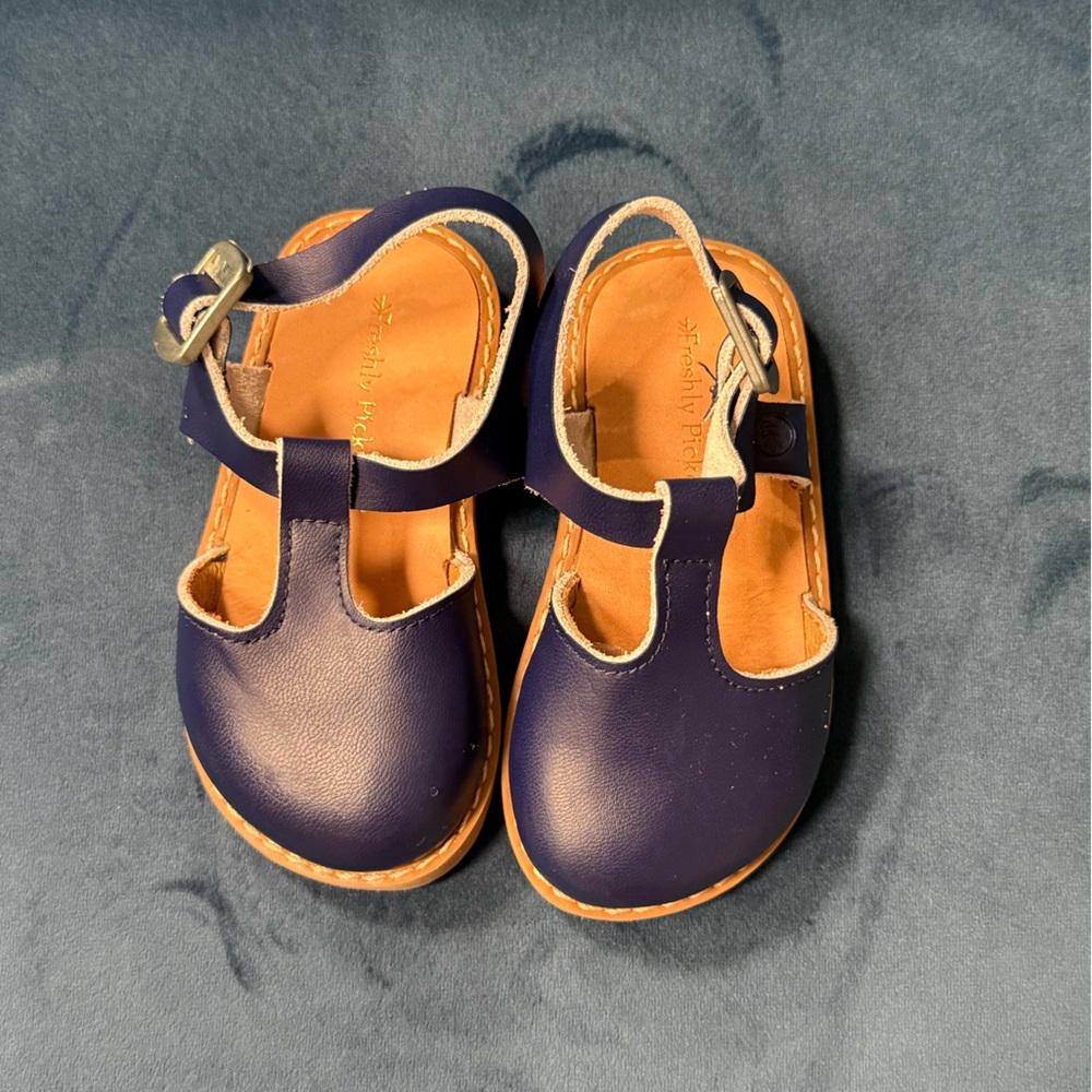 Freshly Picked Blue Sandals 5C Like New